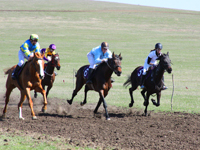Открытие скакового сезона в Крыму