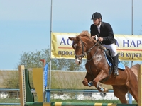 Подведены итоги соревнований на кубок федерации конного спорта Крыма