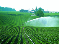 В Республике Крым стартовал поливной сезон 2016