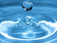 Эффективность реализации основных функций Госкомводхоза Крыма увеличится - Игорь Вайль