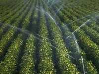 Крымские оросительные системы полностью готовы к работе в поливном сезоне текущего года