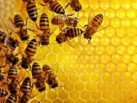 Научно-практический семинар