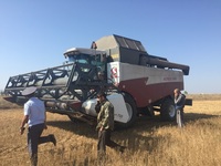 Профилактические мероприятия