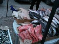 В пгт. Нижнегорский проведен рейд на сельскохозяйственной ярмарке