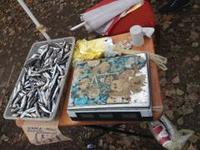 Управление ветеринарии в г. Симферополь приняло участие в рейде по ликвидации мест несанкционированной торговли