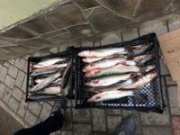 В Алуште проведен очередной рейд по борьбе со стихийной торговлей