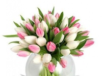 В Белогорском Доме культуре прошел праздничный концерт посвященный «8 Марта»