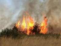 Спасатели бьют тревогу: в Крыму горит трава!