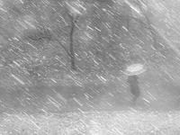 МЧС: штормовое предупреждение на 16-19 января