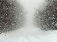 МЧС: штормовое предупреждение на 26-27 января