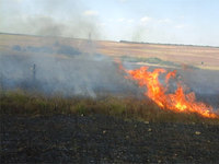 Огнеборцы «Пожарной охраны Крыма» ликвидировали пять загораний сухой растительности