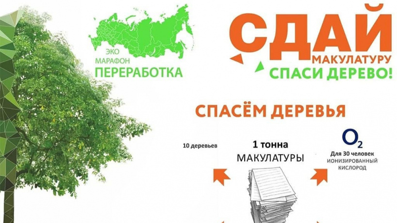 Рисунок сдай макулатуру спаси дерево