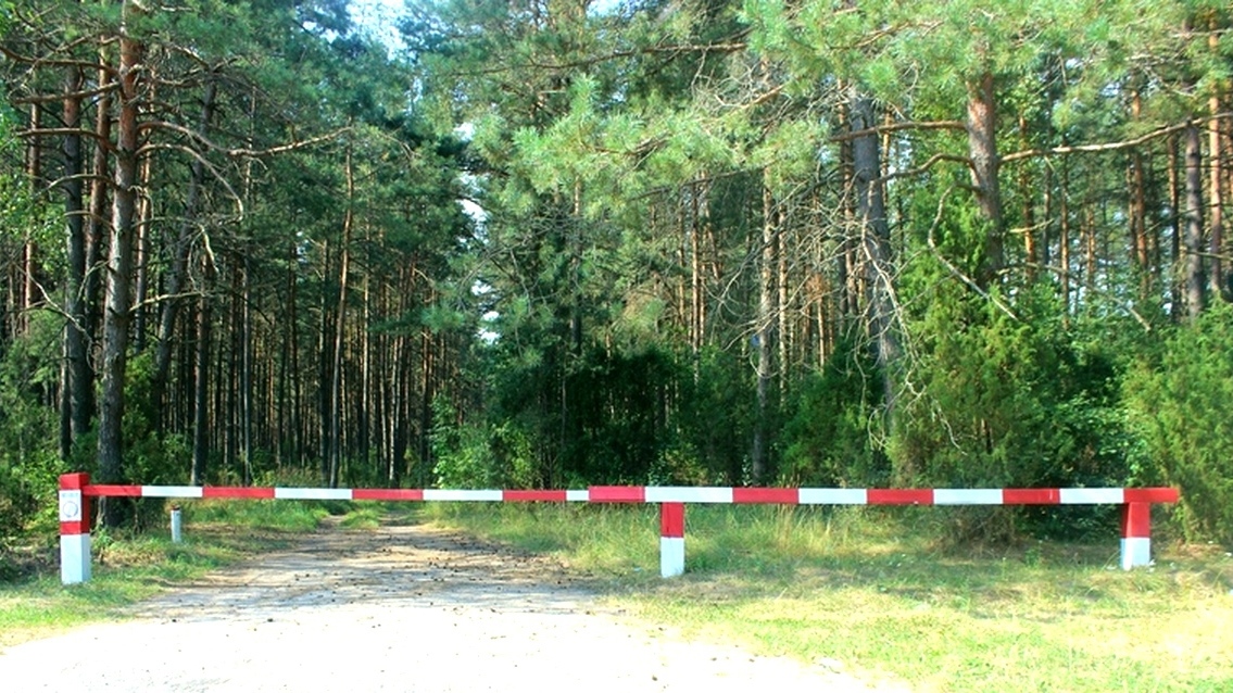 Можно ли посещать леса. Шлагбаум в лесу. Посещение лесов в Подмосковье. Противопожарный шлагбаум в лесу. Шлагбаум Лесной.