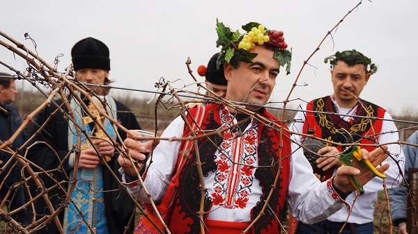 Народный болгарский Праздник виноградарей и виноделов  «Трифон Зарезан»
