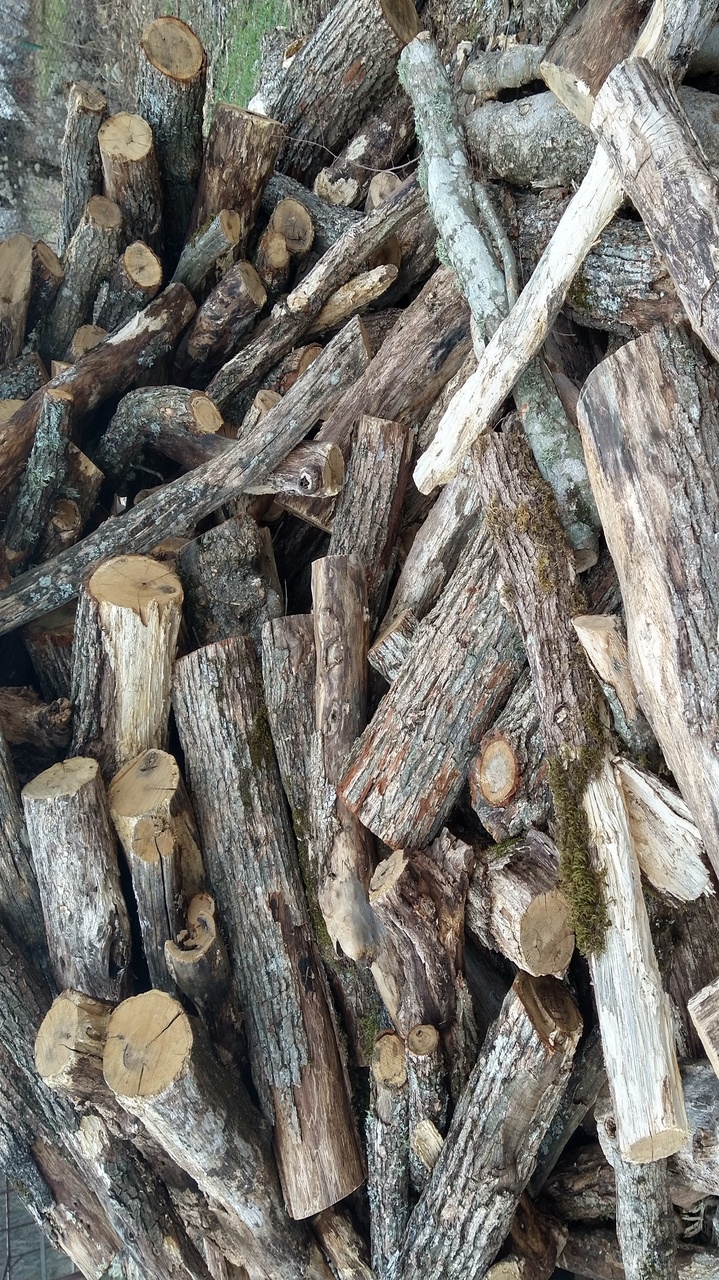 Мониторинг применения цен на дрова ГАУ РК «Судакское лесоохотничье хозяйство»