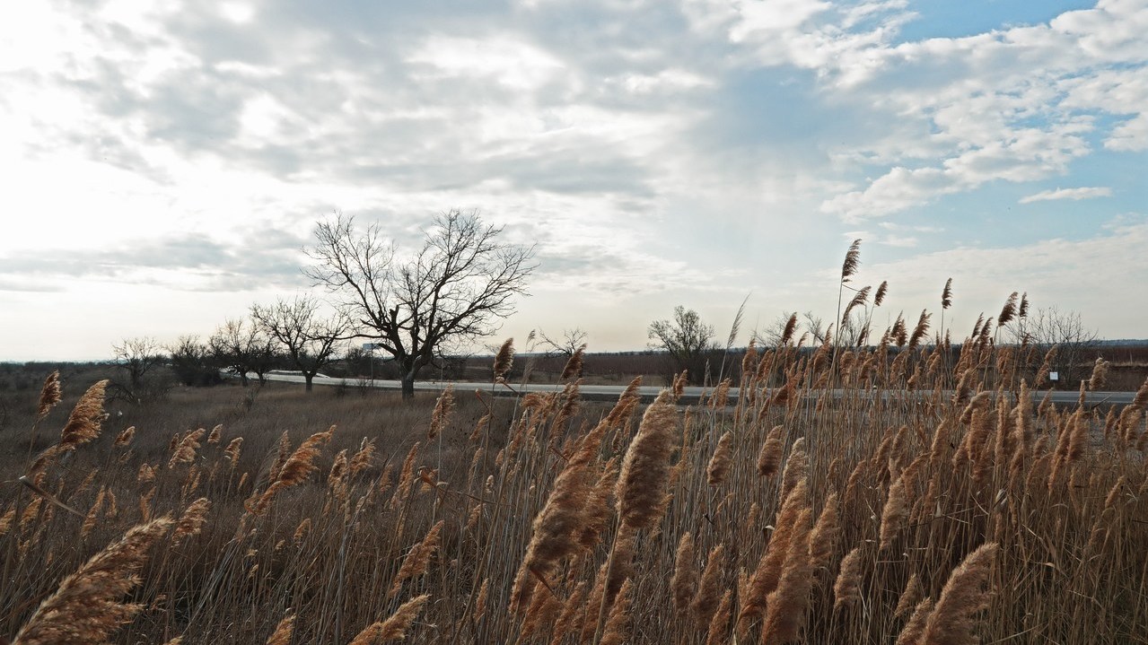 РАБОТА ПРАВИТЕЛЬСТВА: ГЛАВНОЕ ЗА МЕСЯЦ. НОЯБРЬ