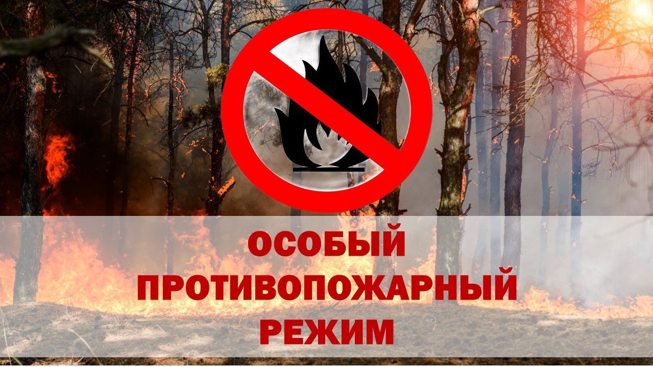 Протокол о нарушении требований пожарной безопасности в лесах образец
