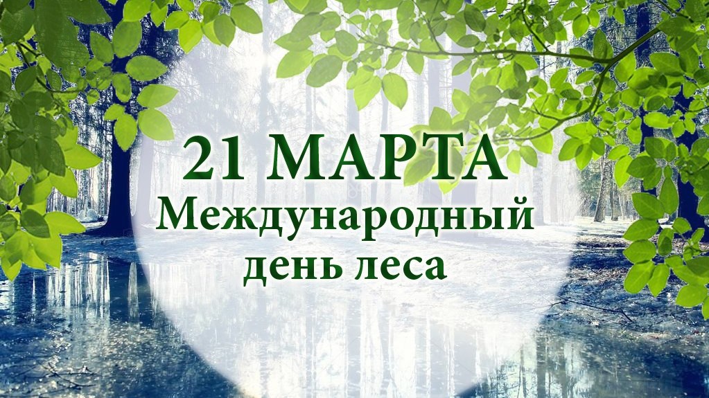 Всемирный день леса презентация для начальной школы