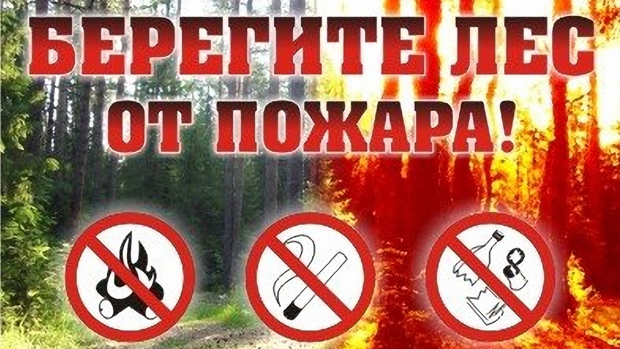 Профилактика лесных пожаров!